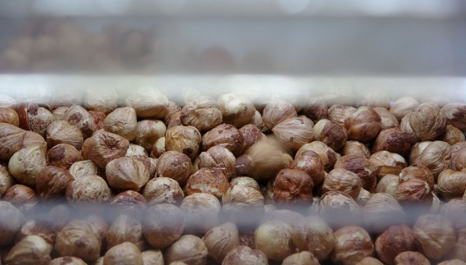 findik hasadi bitti sira kirma ve kavurma isinde CST7rMGA