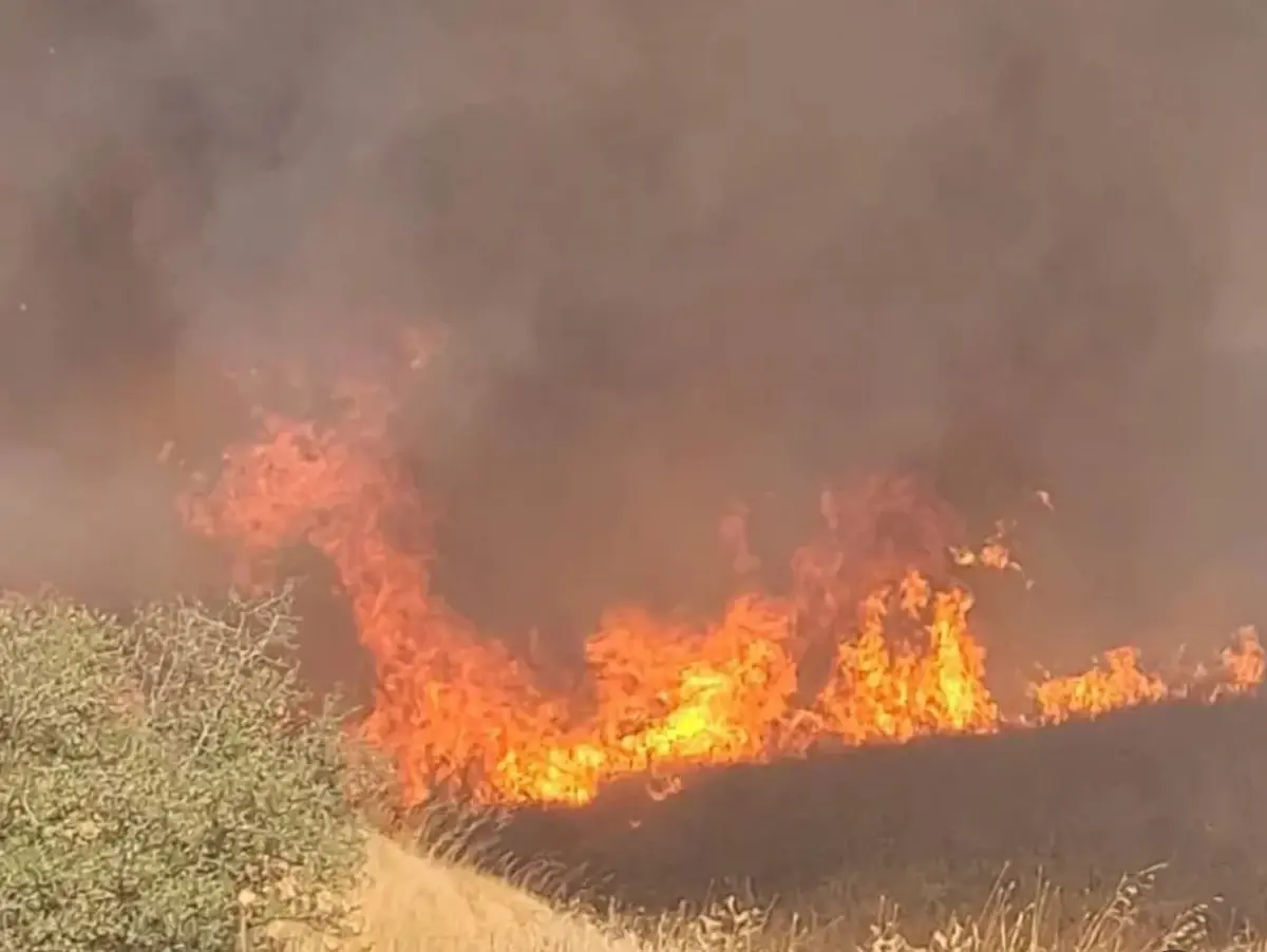 ipsalada bugday tarlasinda yangin bpqRlMuz