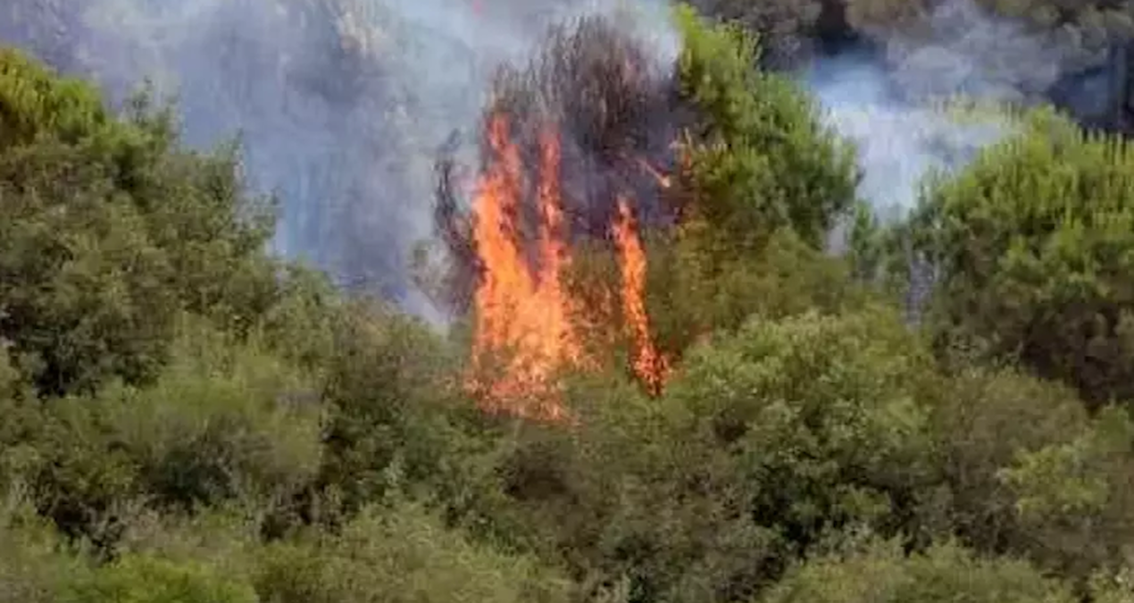 istanbulda yangin panigi cok sayida ekip sevk edildi gitGYvTL