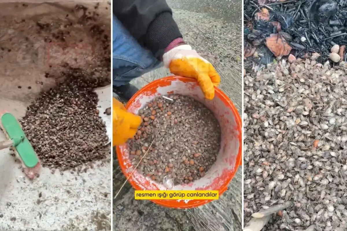 turkiyenin oteki gundemi son virajdayiz diyen vatandastan endiselendiren sozler ifHWsES2.jpg