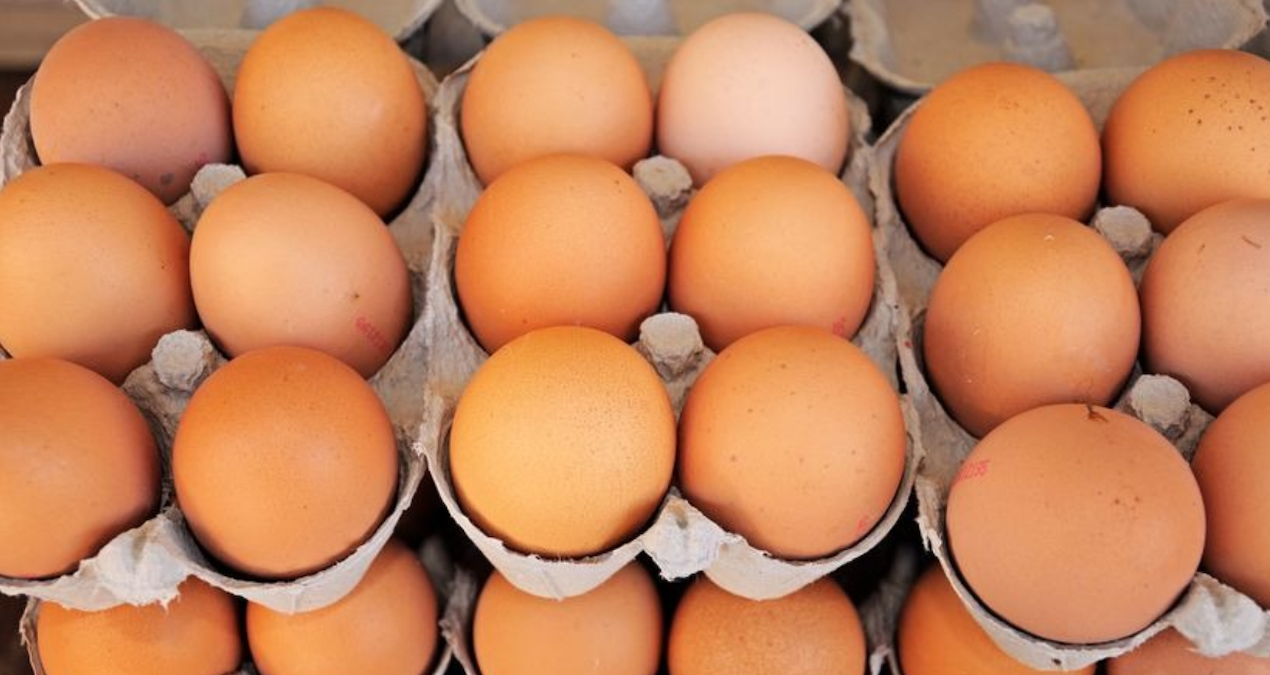 yumurta krizi kapida uretimde sert dusus 9T76DP2l.jpg