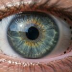 goz-icine-entegre-cihaz-donemi-basladi-hem-olcuyor-hem-goruntu-sagliyor-8kffKdK3