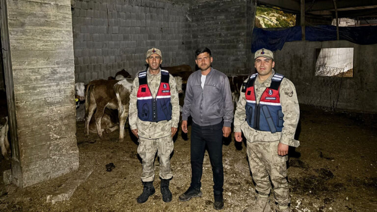 kiliste-kaybolan-buyukbas-hayvanlar-jandarma-tarafindan-bulundu-ekCTkkx8